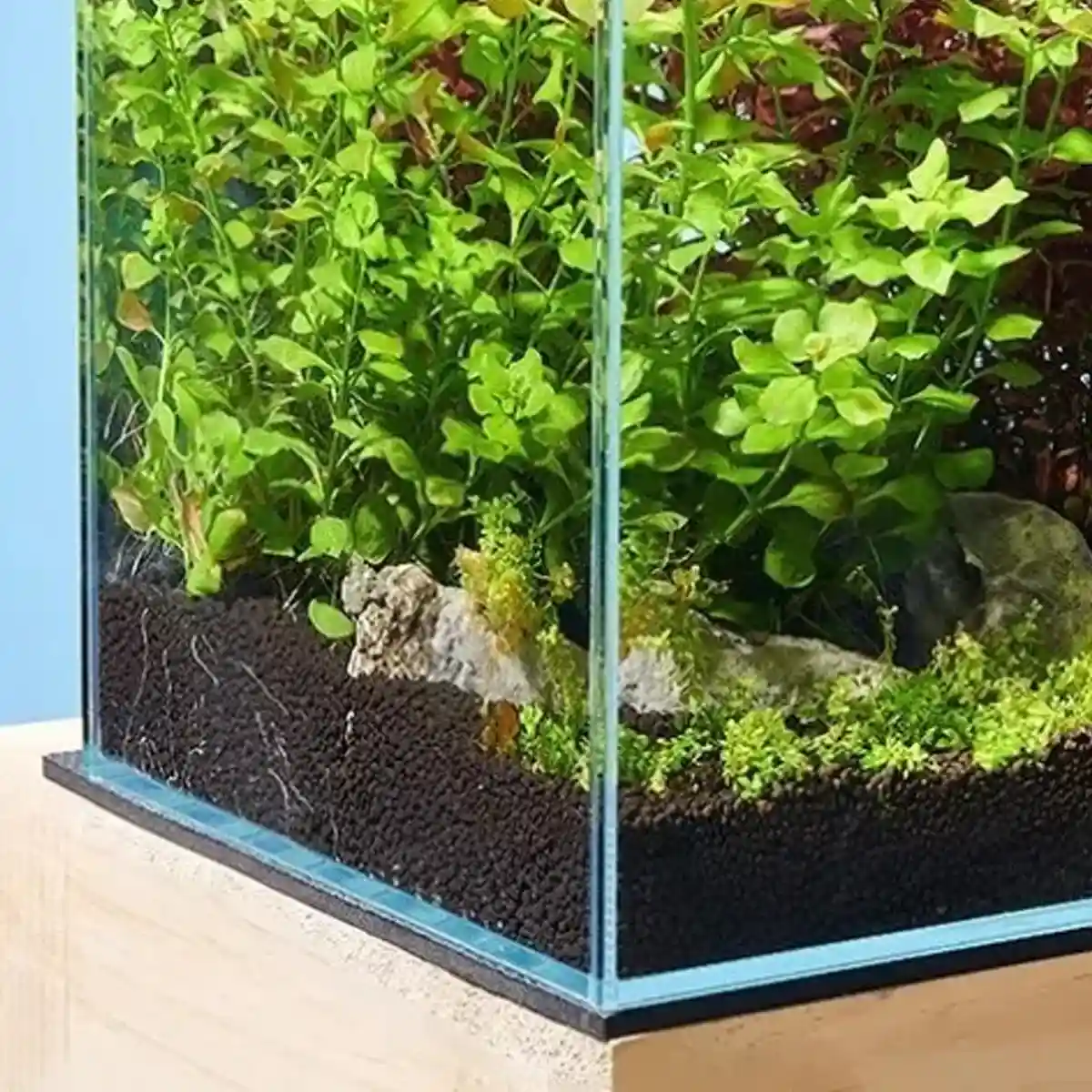 Aquarium Fish Tank Leveling Mat - Image 9