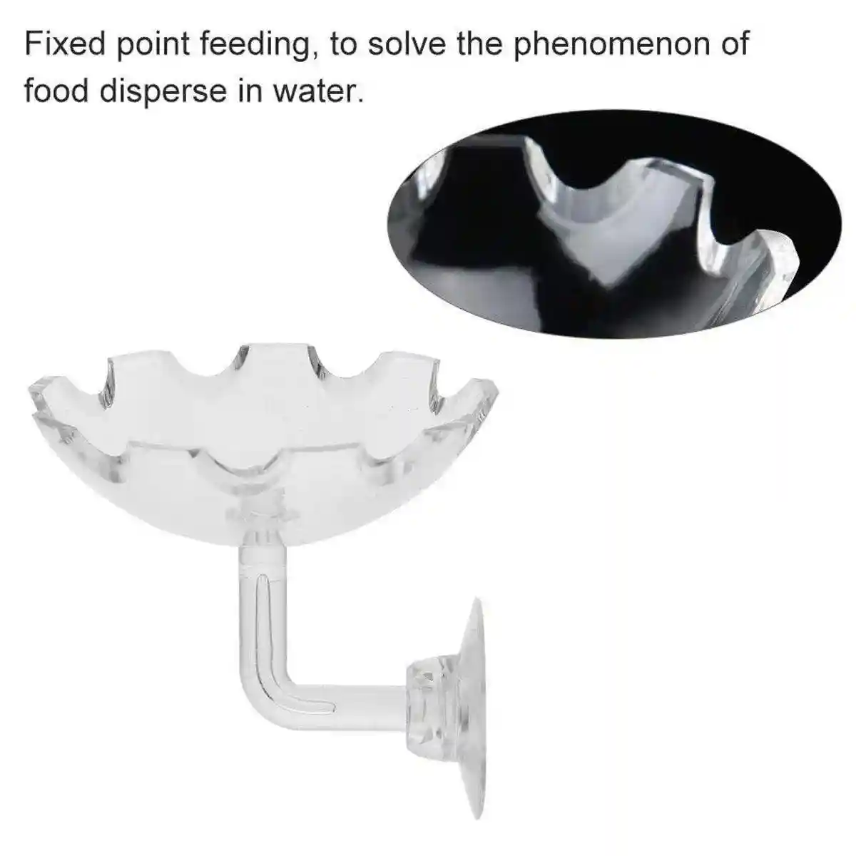 Aquarium Fish Tank Shrimp Food Feeder Clear Arylic Feeding Dish Fish Tank Feeder - Image 5