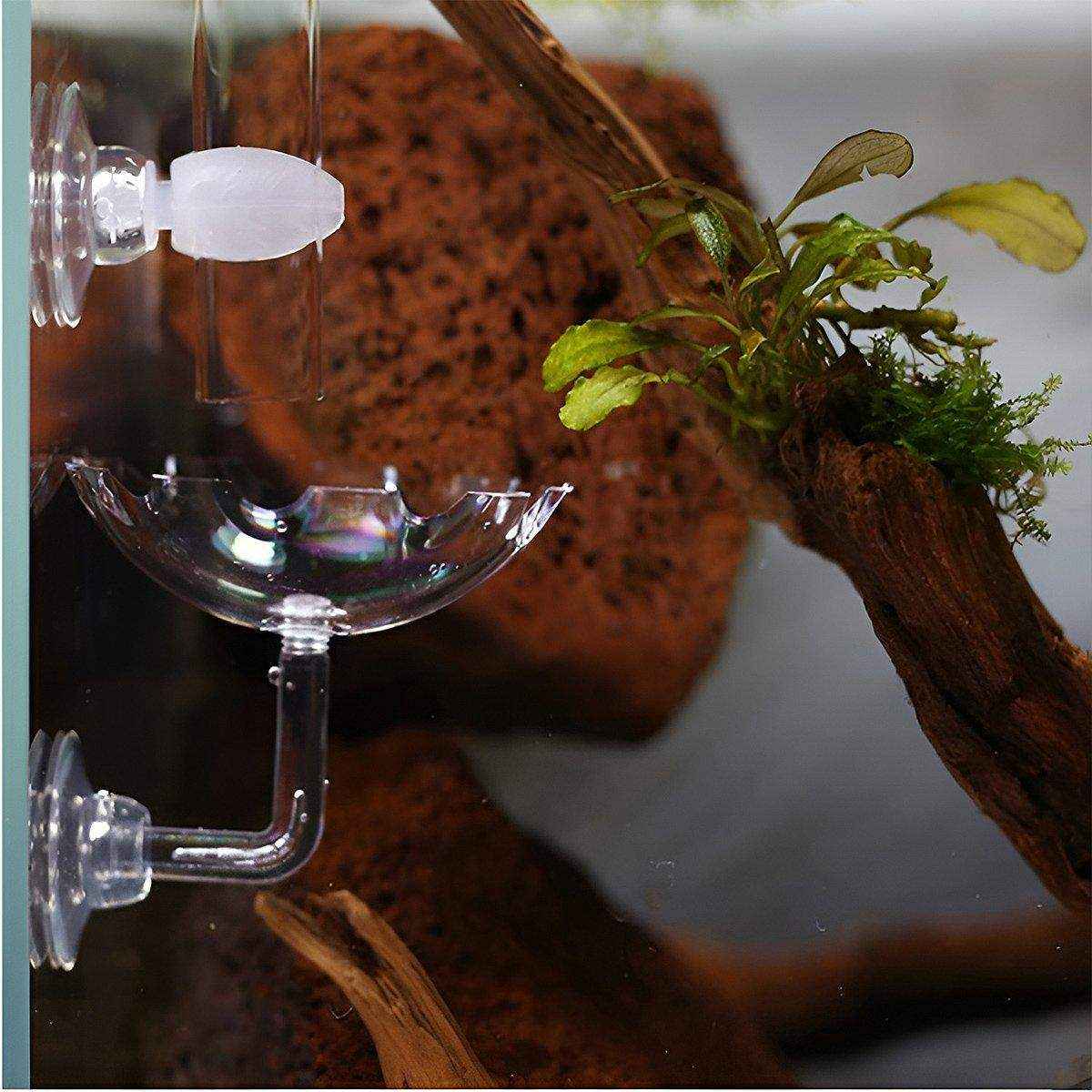 Aquarium Fish Tank Shrimp Food Feeder Clear Arylic Feeding Dish Fish Tank Feeder - Image 6