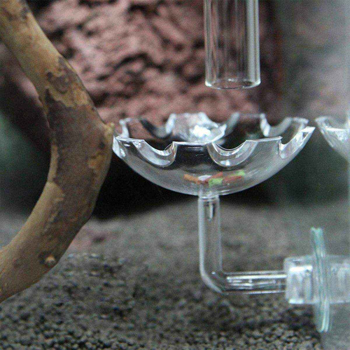 Aquarium Fish Tank Shrimp Food Feeder Clear Arylic Feeding Dish Fish Tank Feeder - Image 7