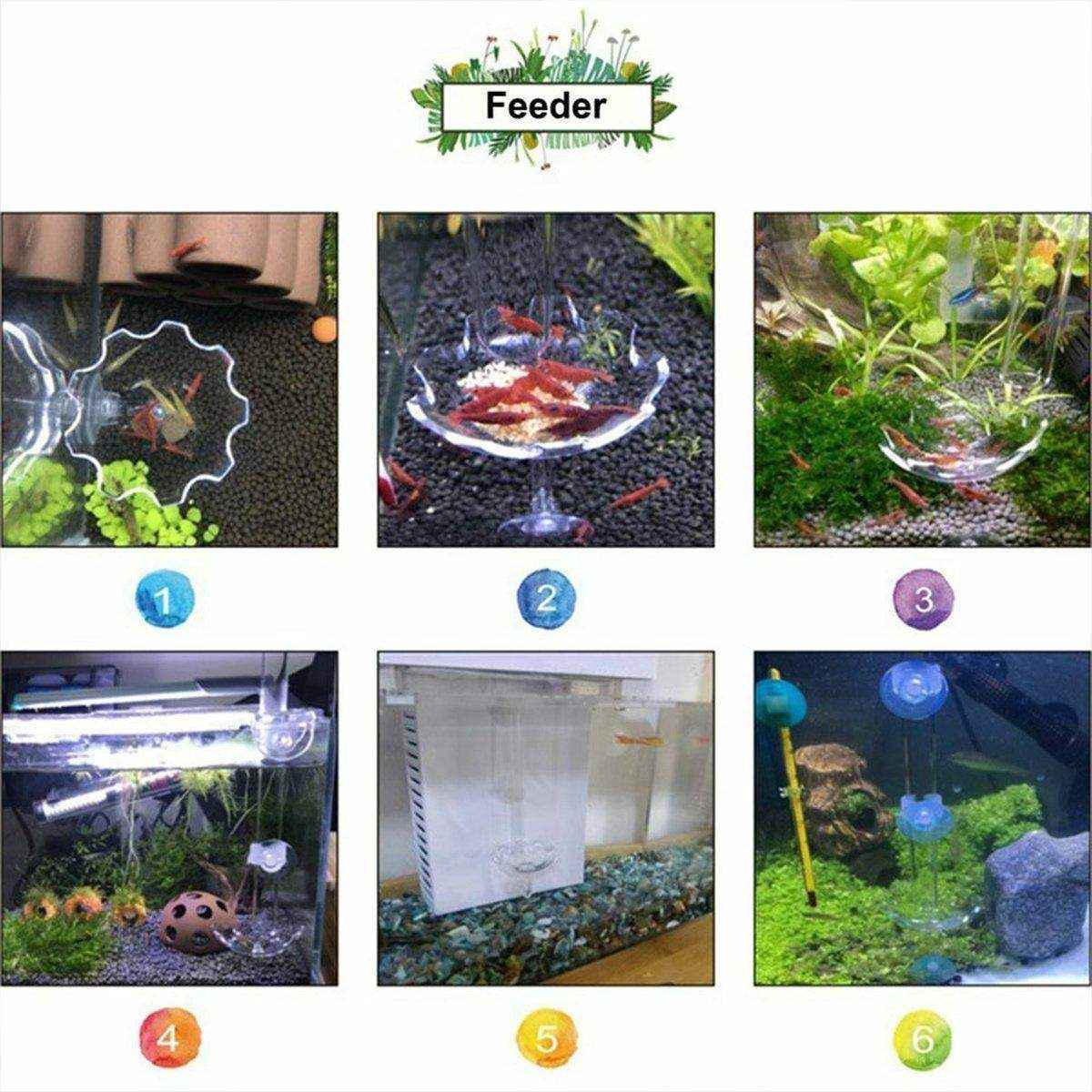 Aquarium Fish Tank Shrimp Food Feeder Clear Arylic Feeding Dish Fish Tank Feeder - Image 9