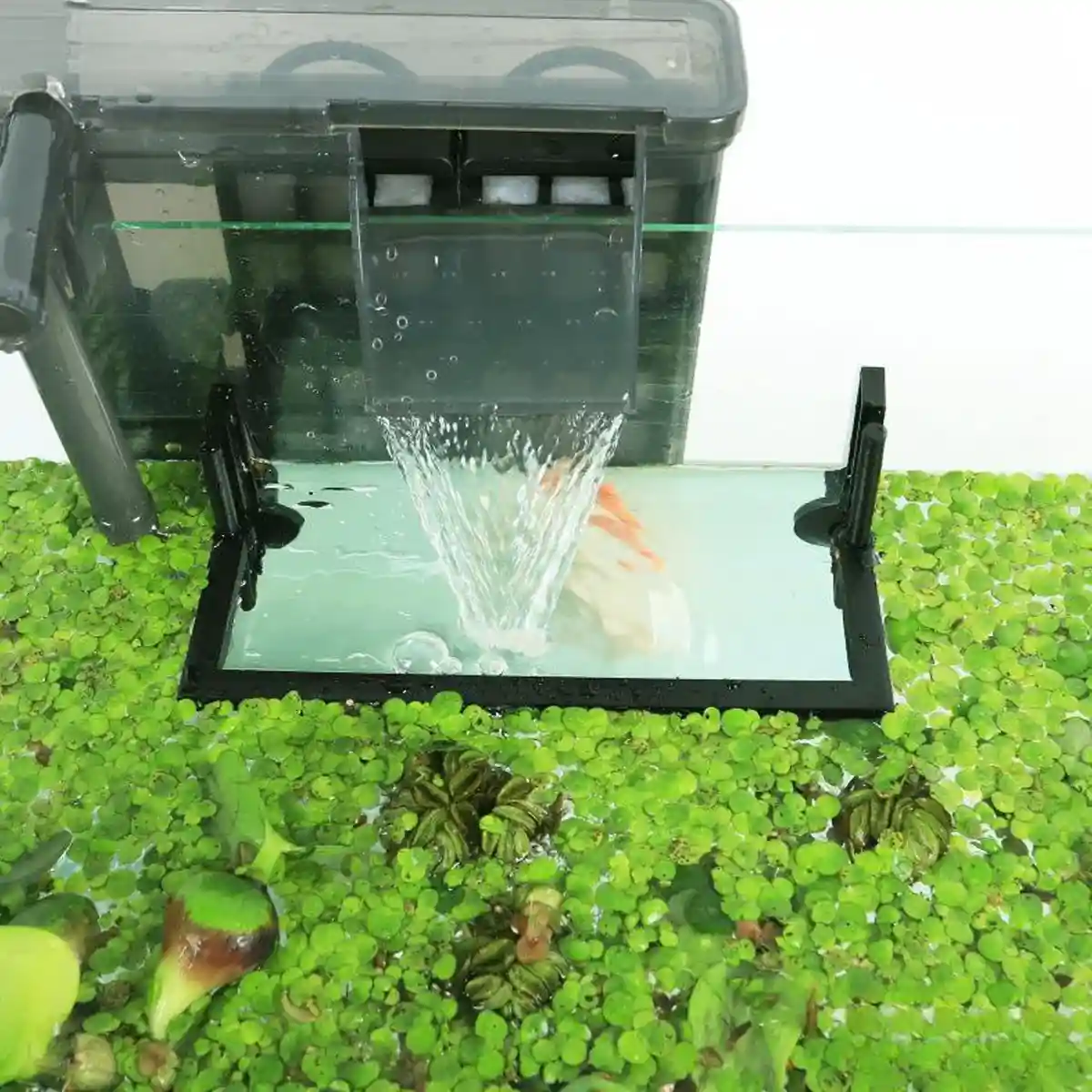 Adjustable Aquarium Floating Plant Corral Duckweed Divider Fence - Image 9