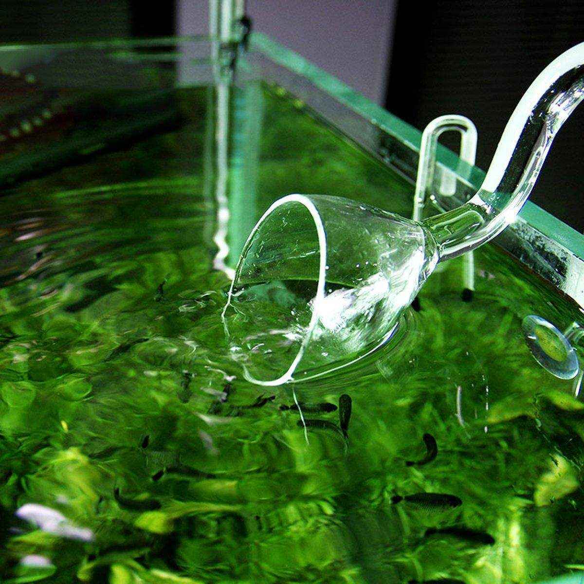 Aquarium Glass Inlet Outlet Pipe Fish Tank Filter Oil Film Remover Plant Holder - Image 5