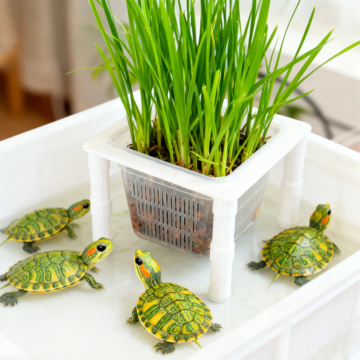 Aquarium Hydroponic Planting Basket Aquatic Plant Holder - Image 9