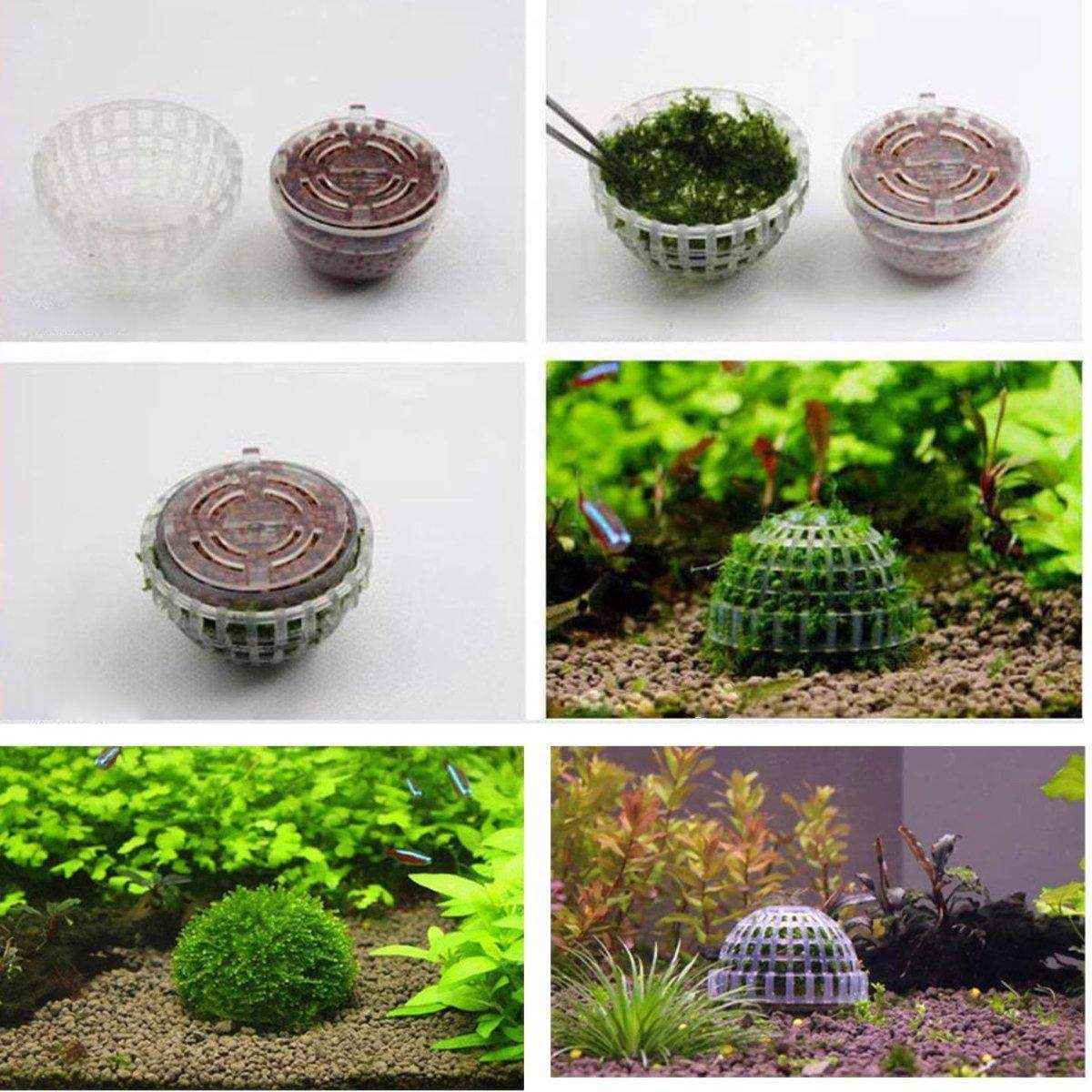 Moss Hemisphere Combination Suspension MOSS Binding-free - Image 9