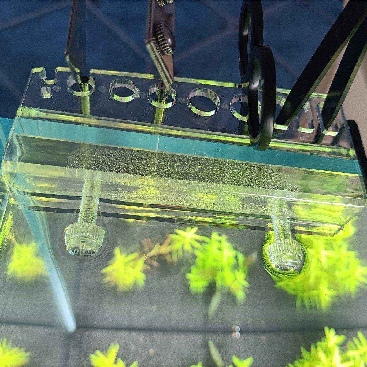 Aquarium Tool Holder - Acrylic Fish Tank Organizer - Image 11