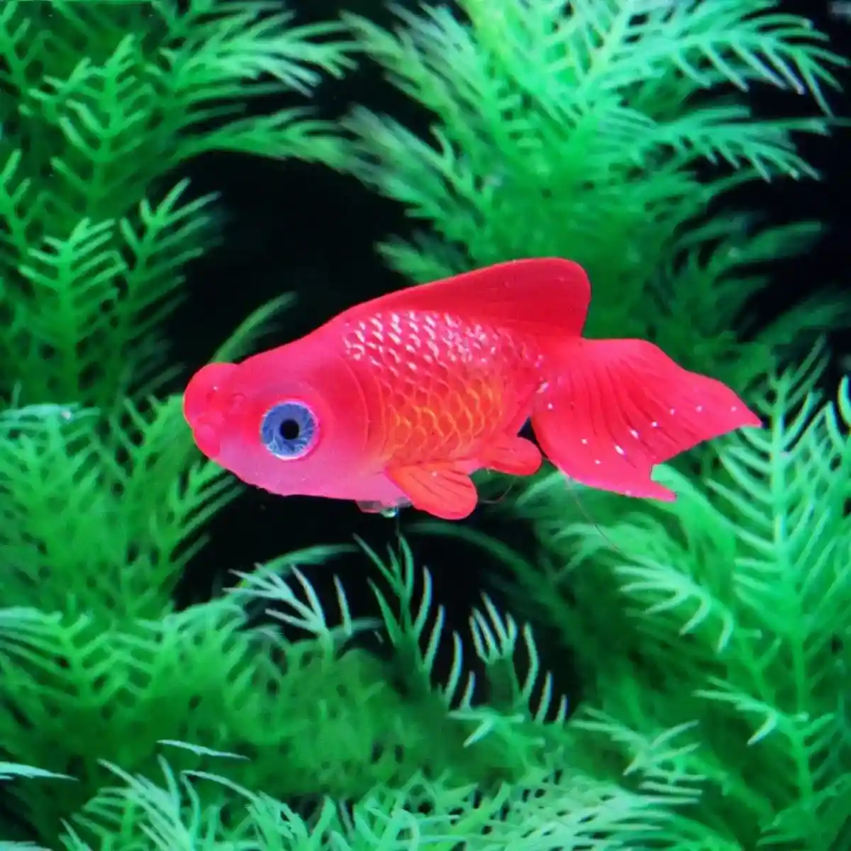 Artificial Aquarium Fish Decorations Silicone Betta Moving Floating Small Fish - Image 10