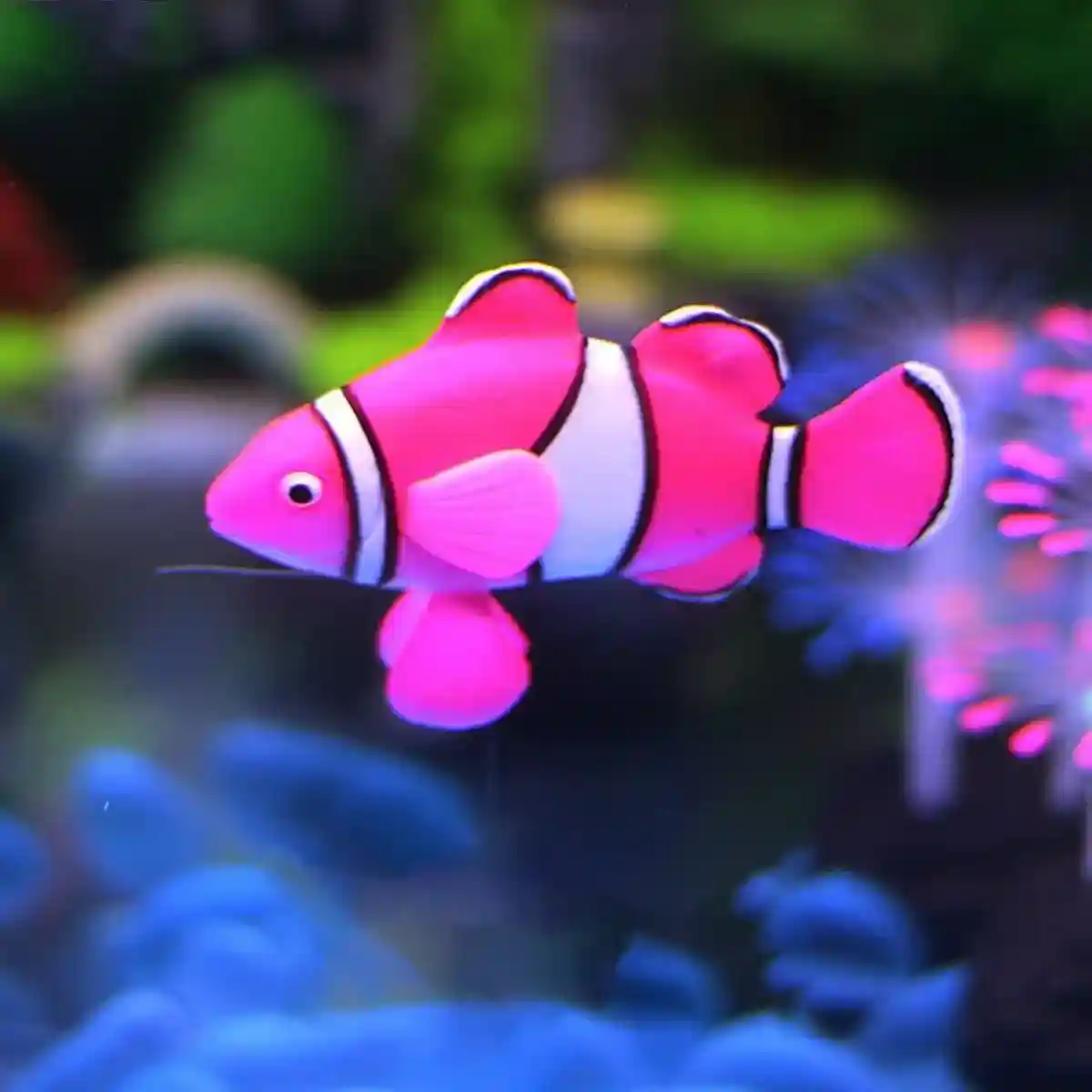Artificial Aquarium Fish Decorations Silicone Betta Moving Floating Small Fish - Image 6