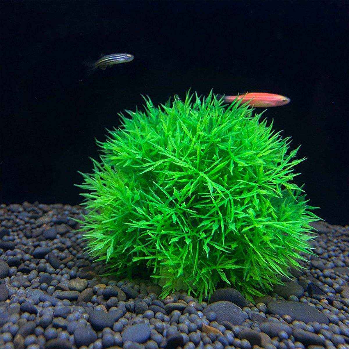 Artificial Aquarium Plants Lifelike Artificial Aquarium Grass Balls - Image 4