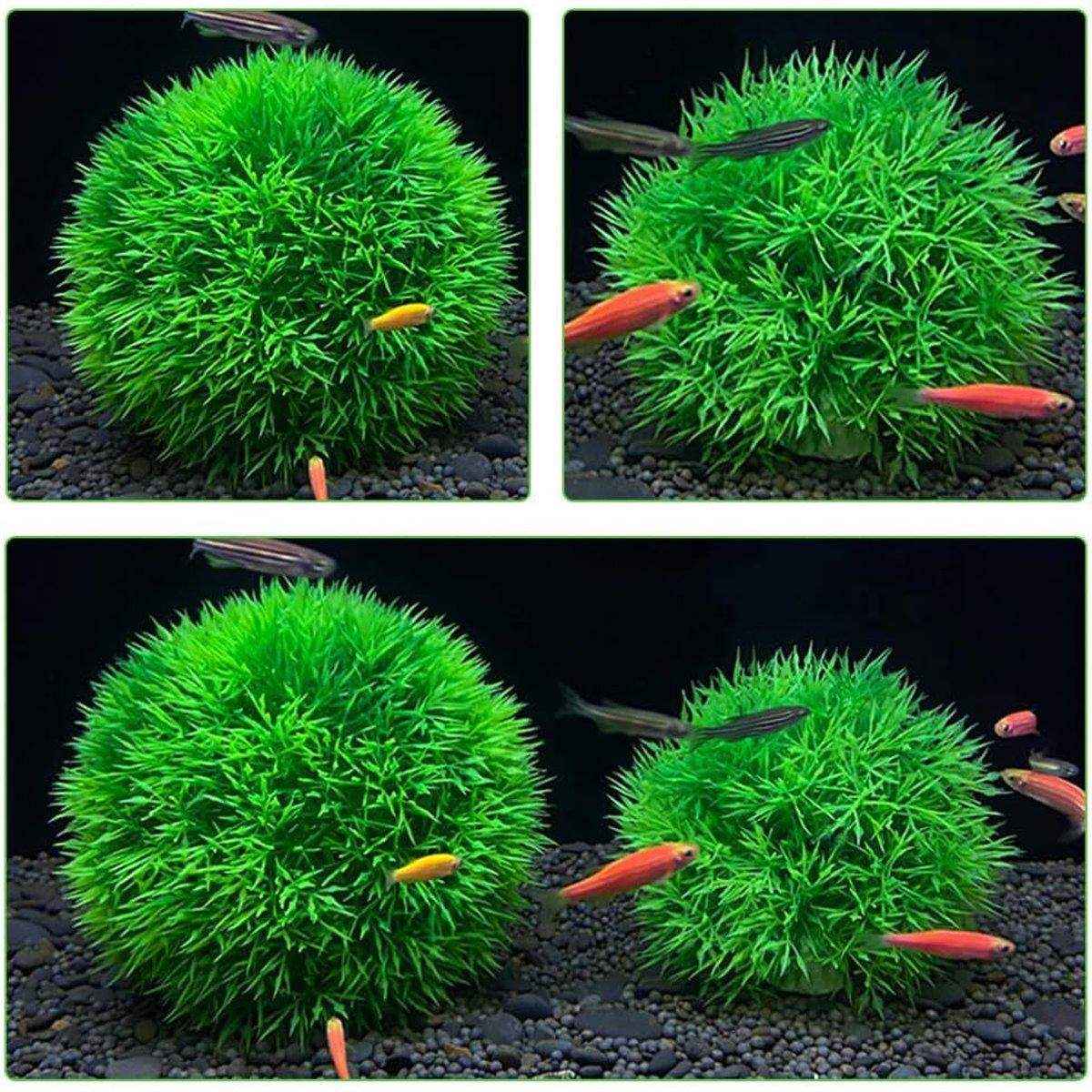 Artificial Aquarium Plants Lifelike Artificial Aquarium Grass Balls - Image 9