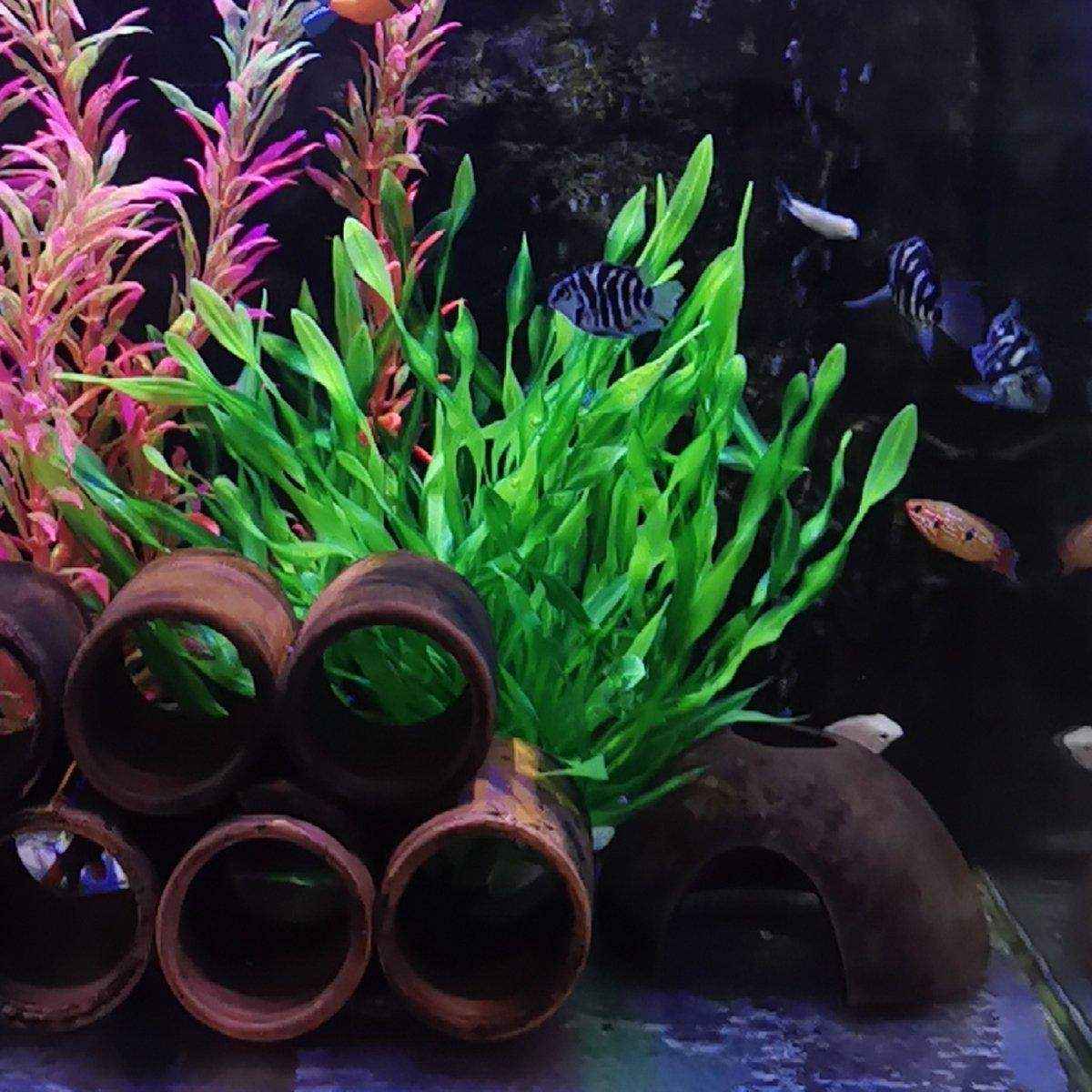Artificial Aquarium Grass Vibrant Decorative Plants for Fish Tanks - Image 10