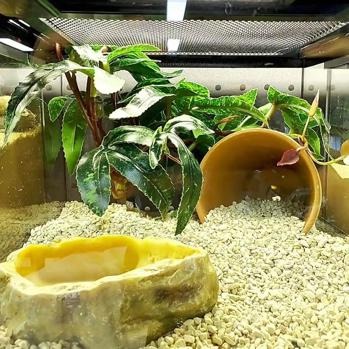 Artificial Reptile Tank Plant Decoration with Resin Base - Image 3