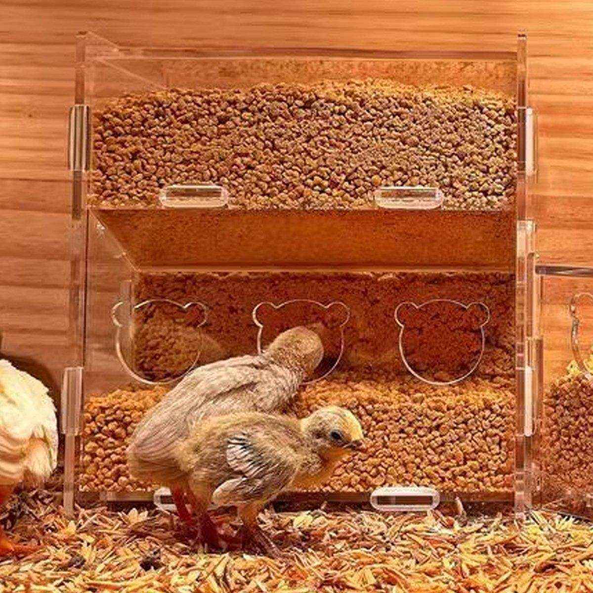 Automatic Acrylic Chicken Feeder Rutin Pet Supplies for Poultry Feeding System - Image 13