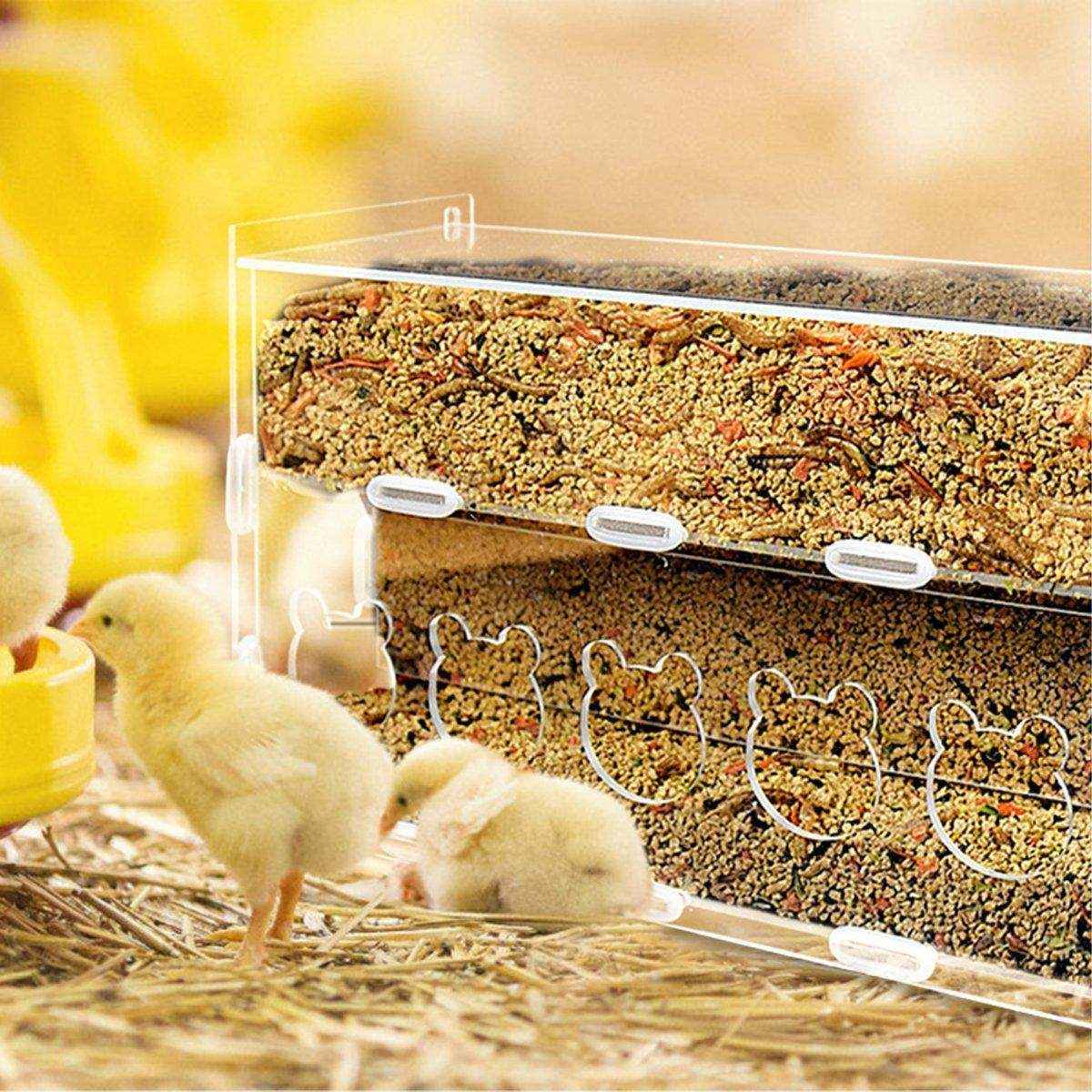 Automatic Acrylic Chicken Feeder Rutin Pet Supplies for Poultry Feeding System - Image 4