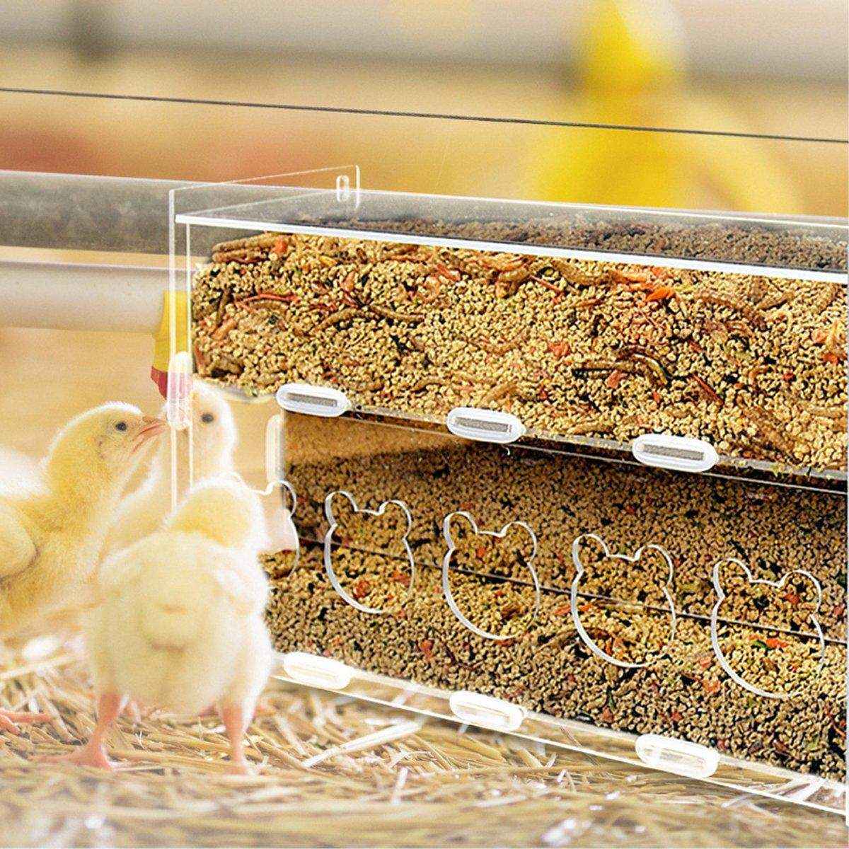 Automatic Acrylic Chicken Feeder Rutin Pet Supplies for Poultry Feeding System - Image 5