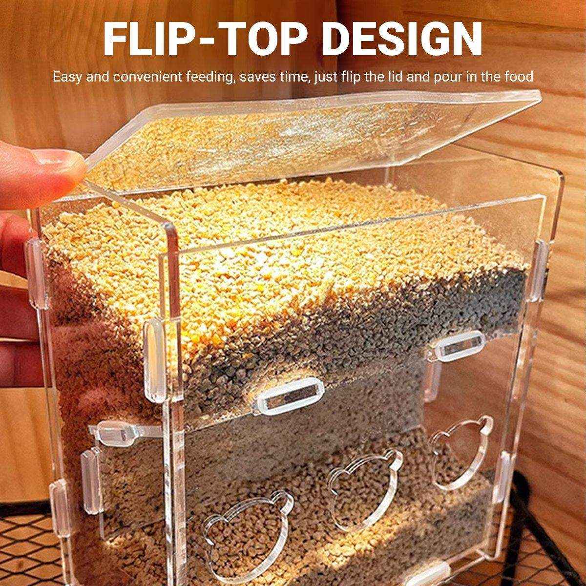 Automatic Acrylic Chicken Feeder Rutin Pet Supplies for Poultry Feeding System - Image 9