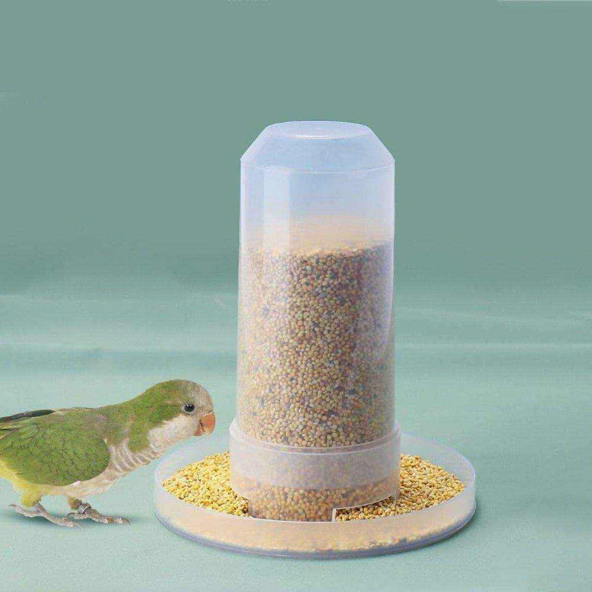 Automatic Bird Feeder Chicken Pigeon Parrot Drinker Water Dispenser Feeder - Image 9