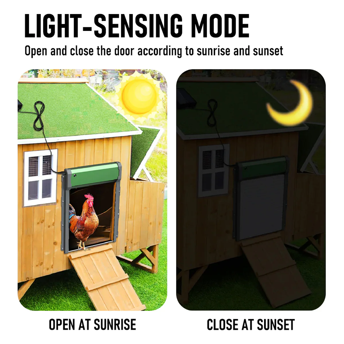 Automatic Chicken Coop Door Solar Powered Smart Chicken Door - Image 11