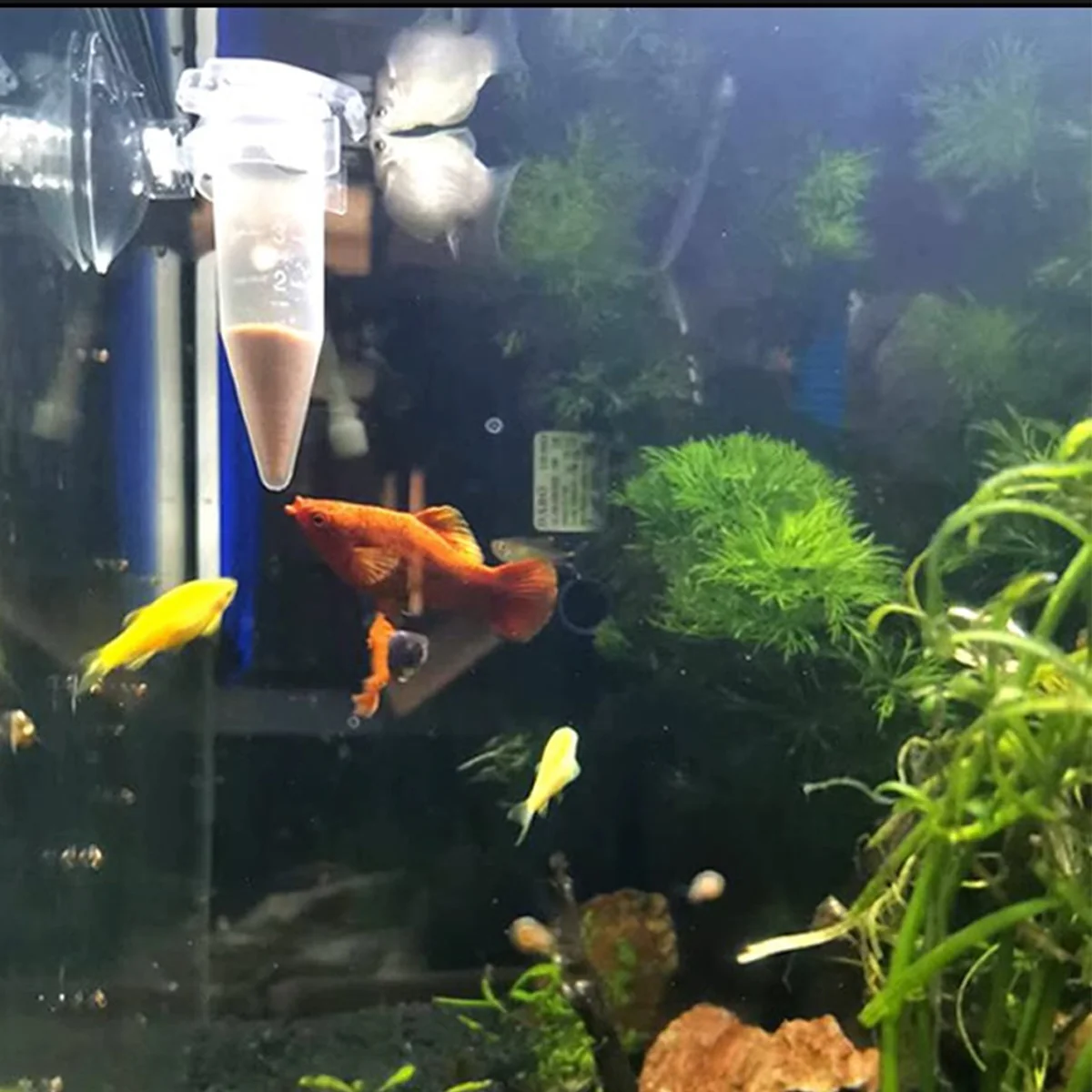 Automatic Fish Feeder With Suction Cup (10PCS) - Image 15