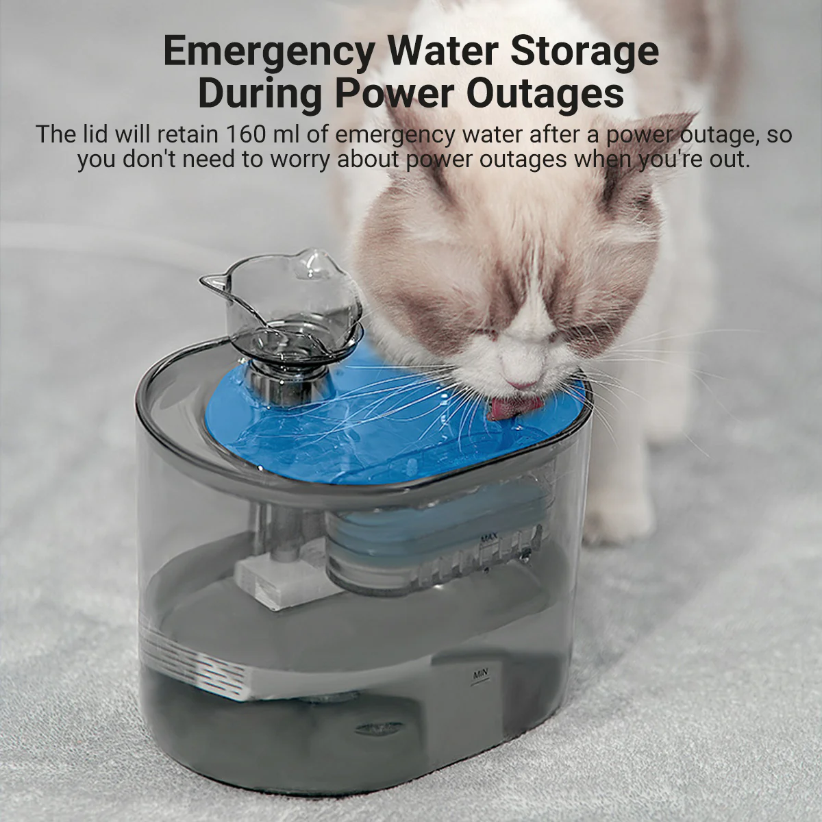 Automatic Pet Water Fountain for Cats and Dogs - Image 9