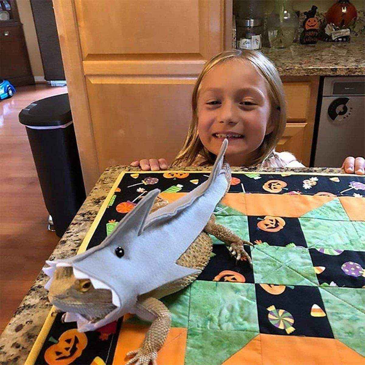 Lizard Shark Costume for Small Pets Adorable Reptile Outfit for Halloween Party - Image 4