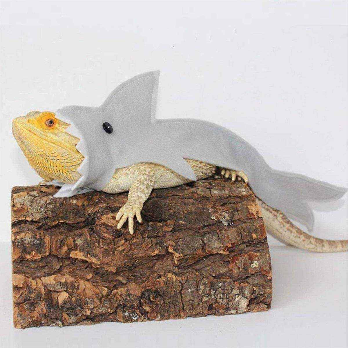 Lizard Shark Costume for Small Pets Adorable Reptile Outfit for Halloween Party - Image 7