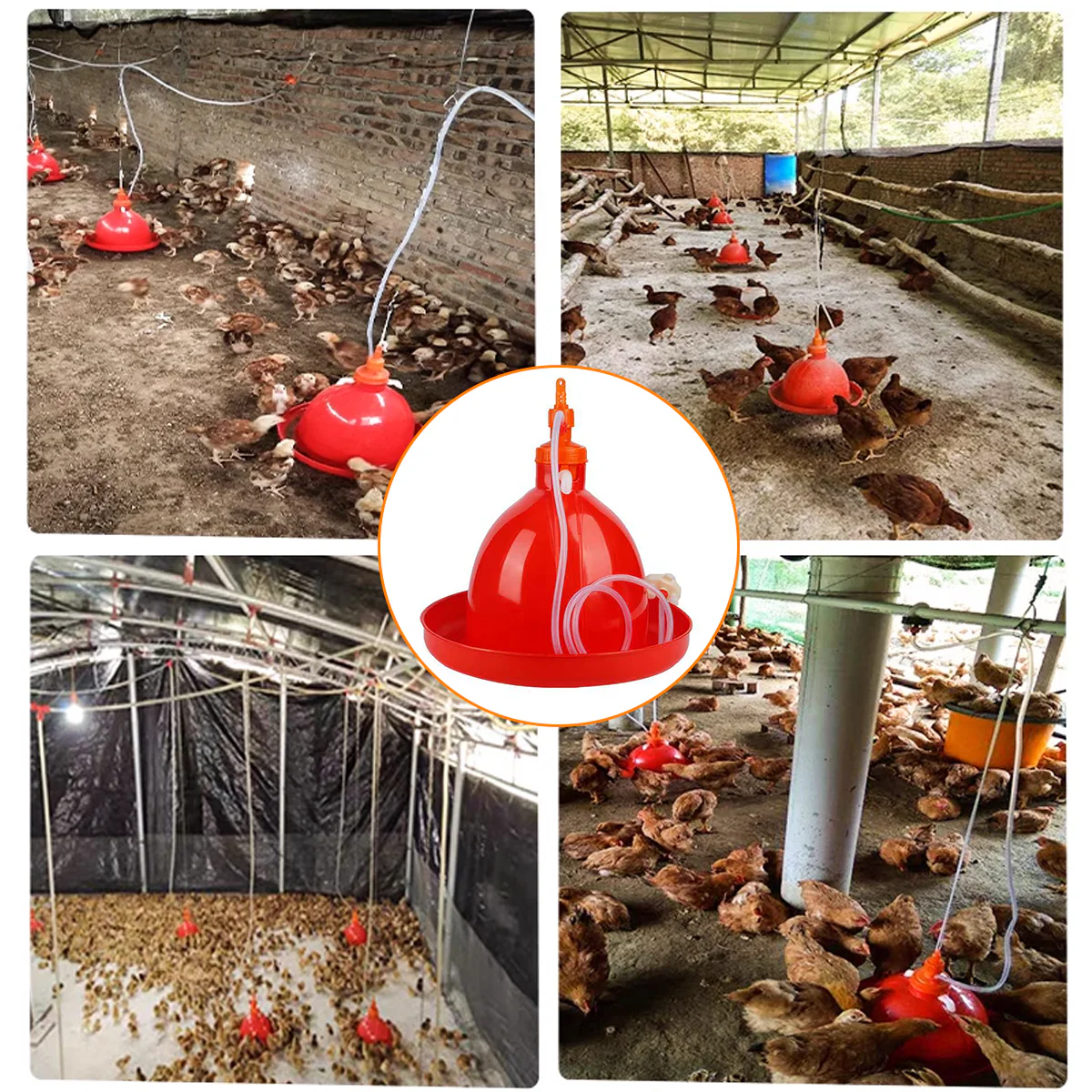 Automatic Poultry Waterer With Hose 40cm - Image 8