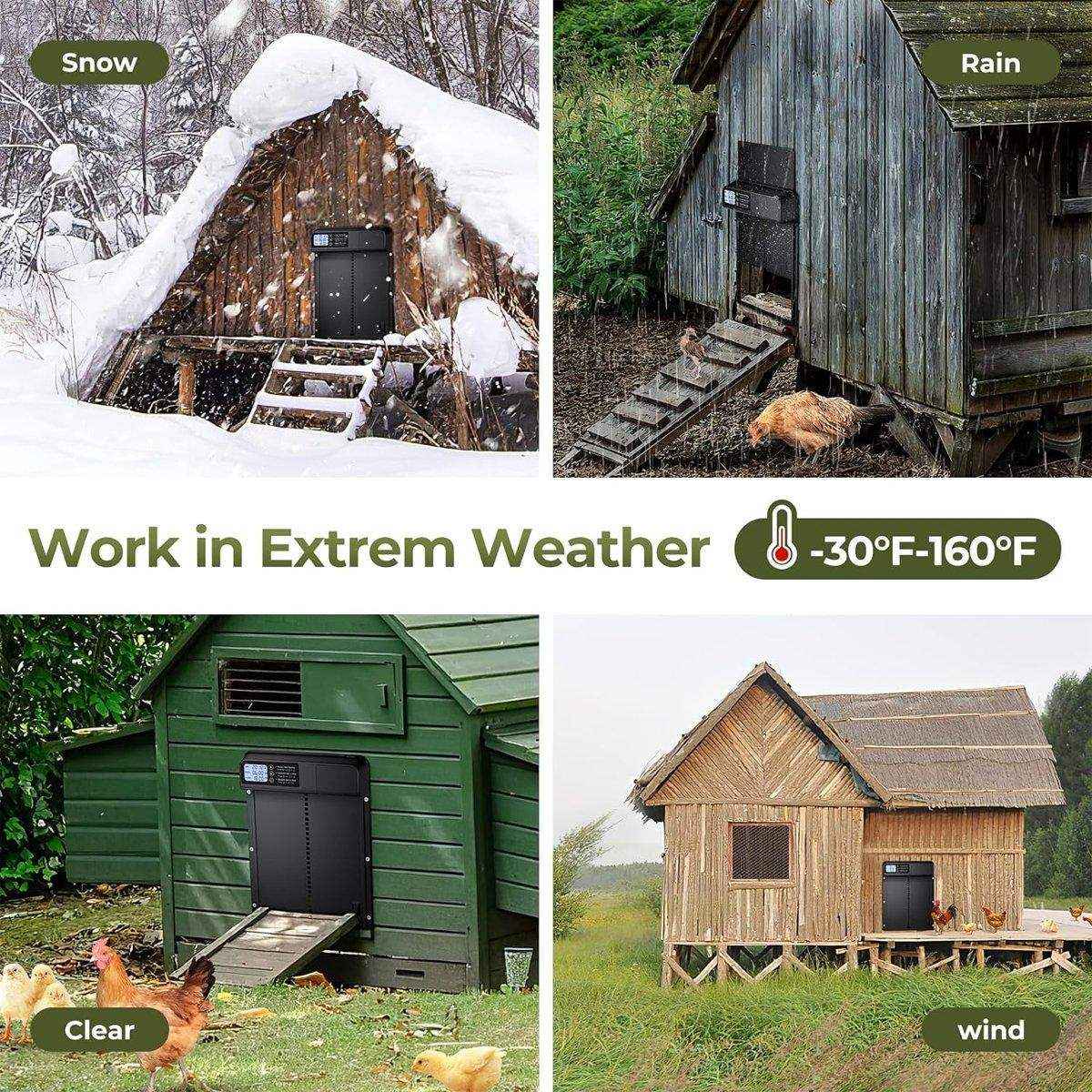 Weatherproof Automatic Stainless Steel Chicken Coop Door - Image 11