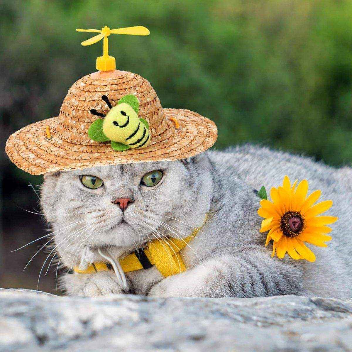 Pet Straw Hat Bamboo Dragonfly Cat And Dog Headwear Puppy Sun Hat Decoration - Image 9