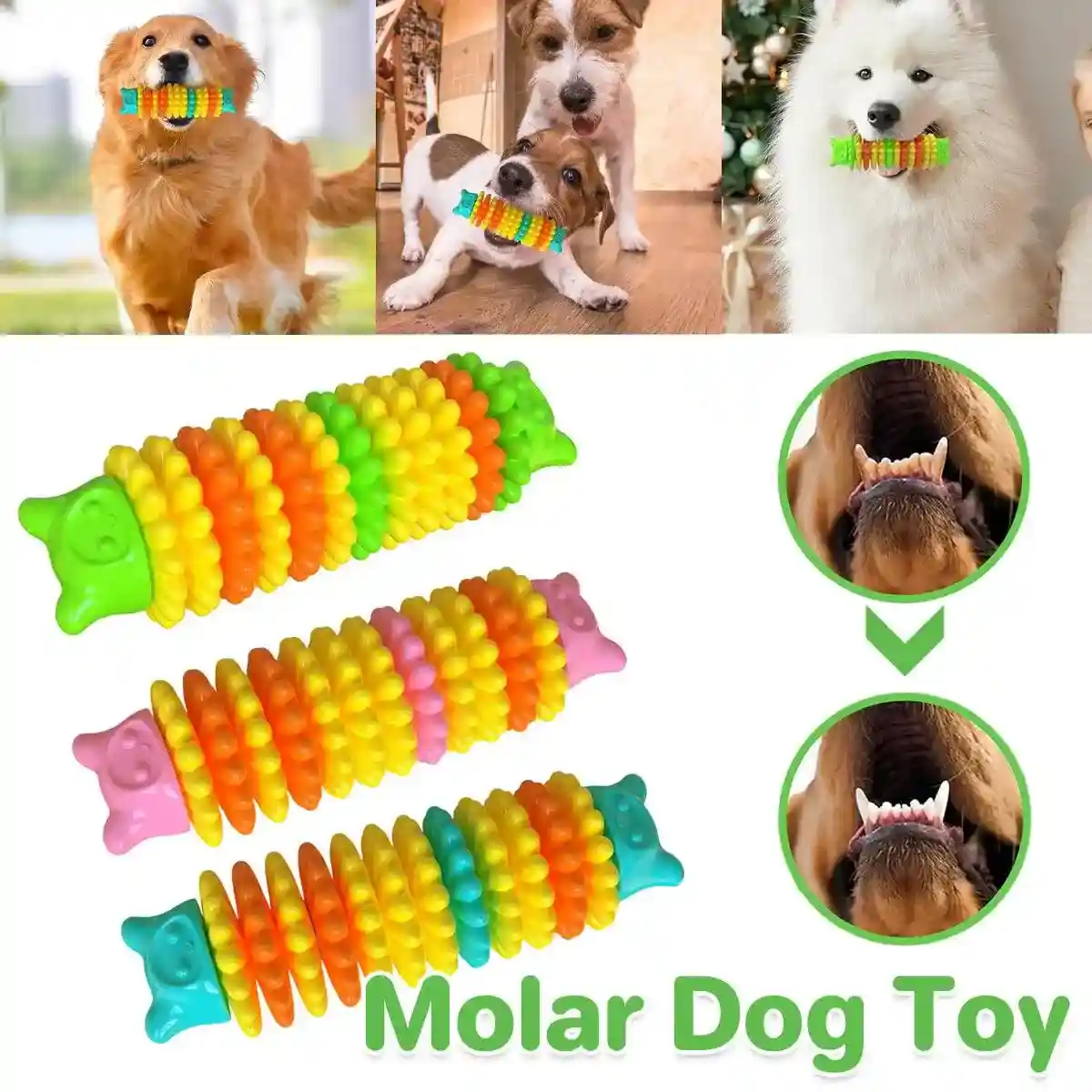 Durable Bear Head Dog Chew Toy for Dental Health & Play - Image 2