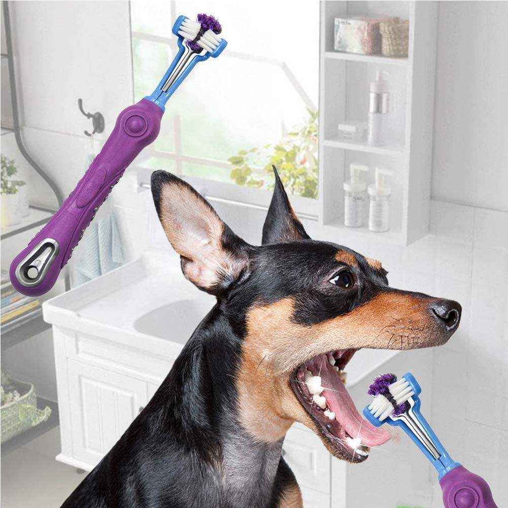 3-Sided Pet Toothbrush 5 Colours - Image 10