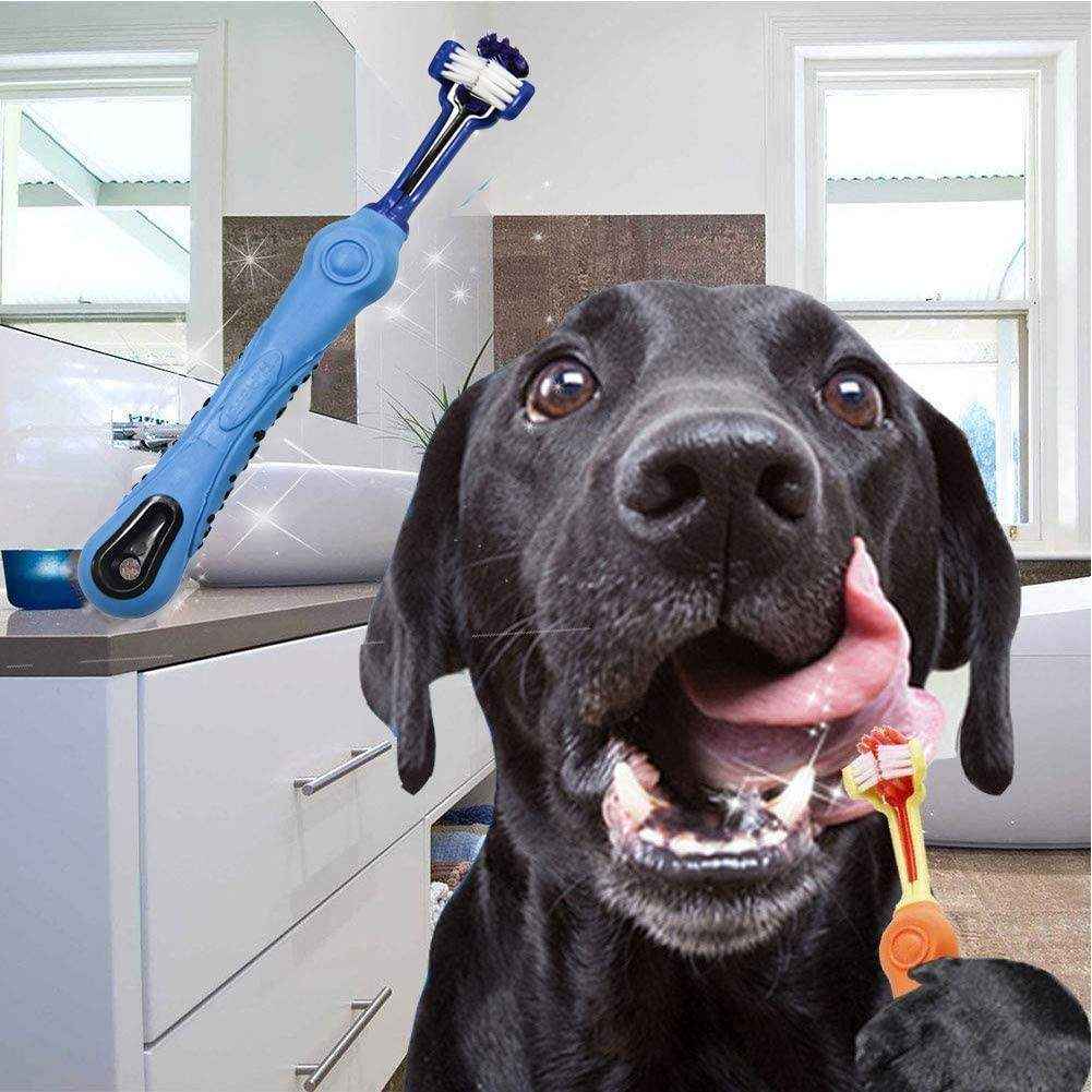 3-Sided Pet Toothbrush 5 Colours - Image 11