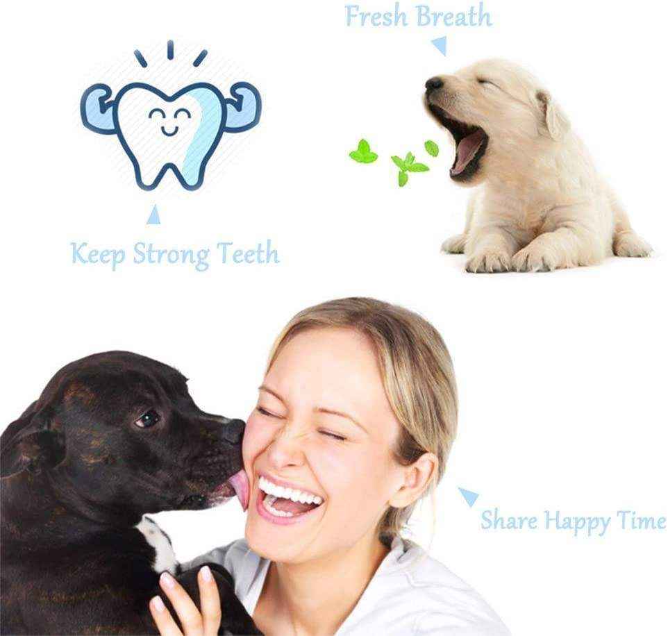 3-Sided Pet Toothbrush 5 Colours - Image 13
