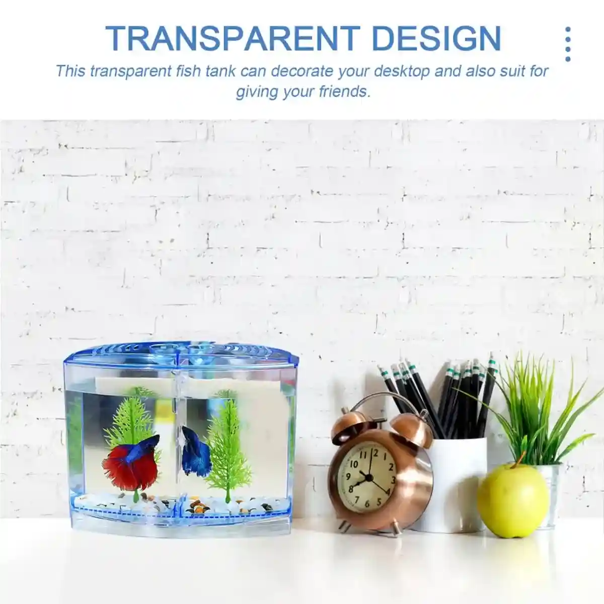 Dual Compartment Acrylic Betta Fish Tank Desktop Aquarium Display - Image 9