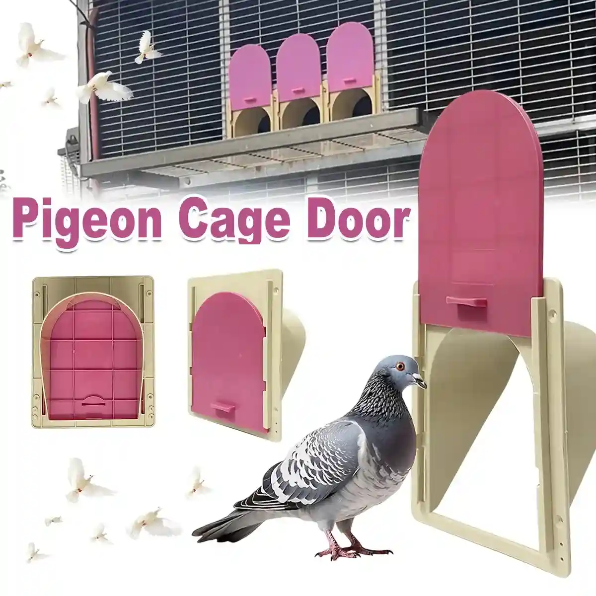One-Way Bird Cage Door for Pigeons with Secure Entry Design