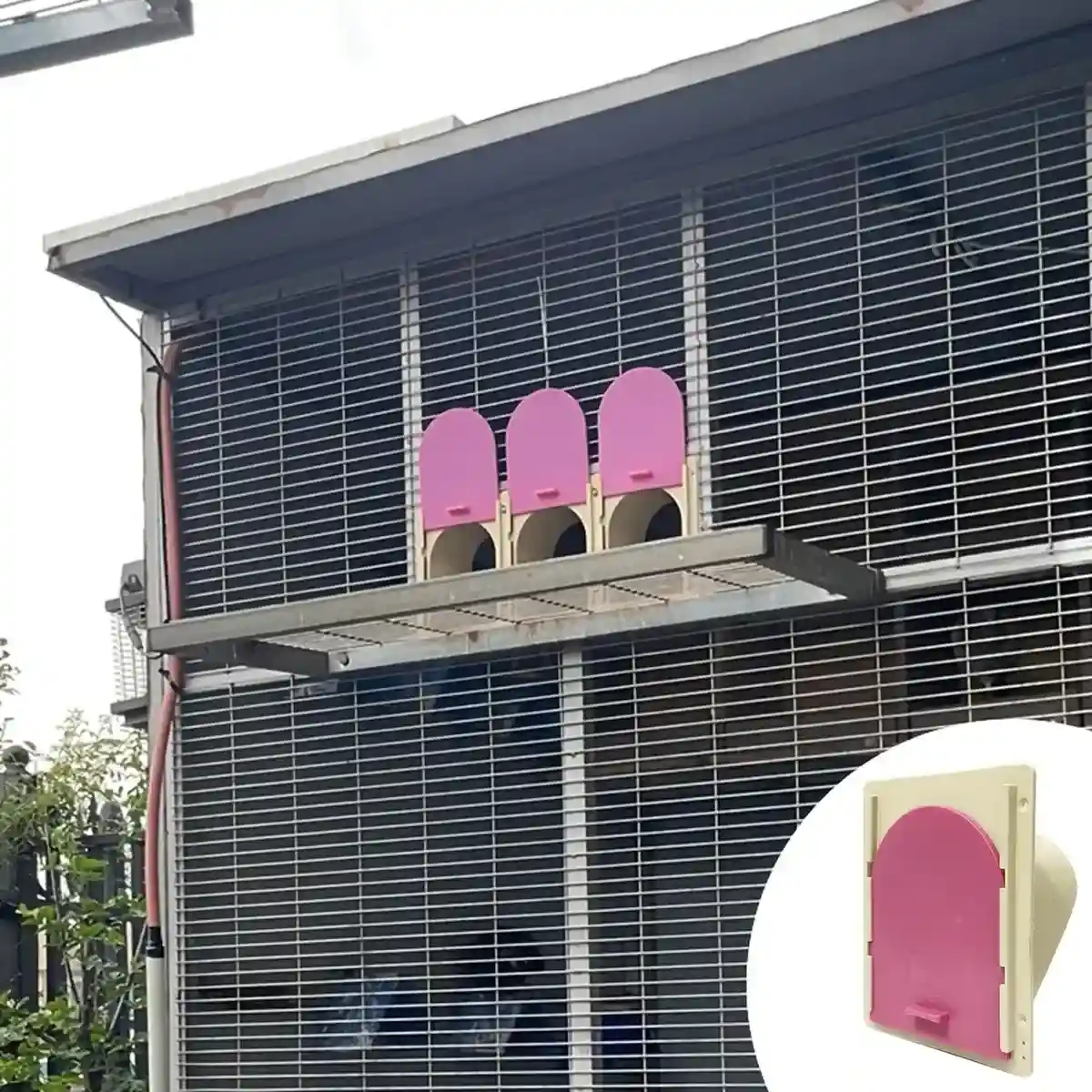 One-Way Bird Cage Door for Pigeons with Secure Entry Design - Image 10