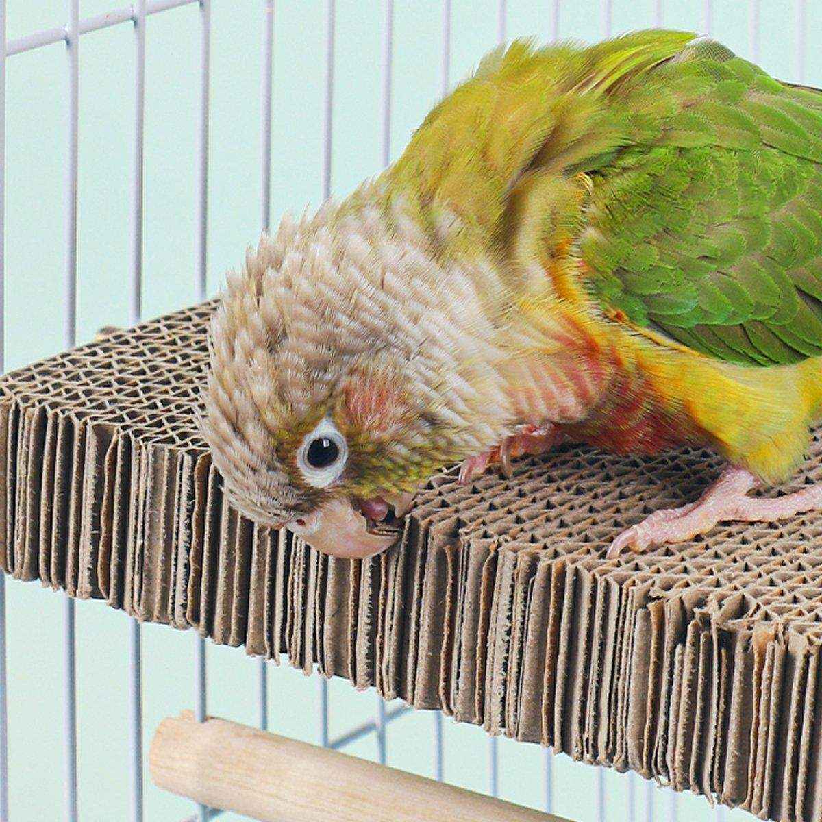 Bird Cage Perch and Chew Toy - Image 4
