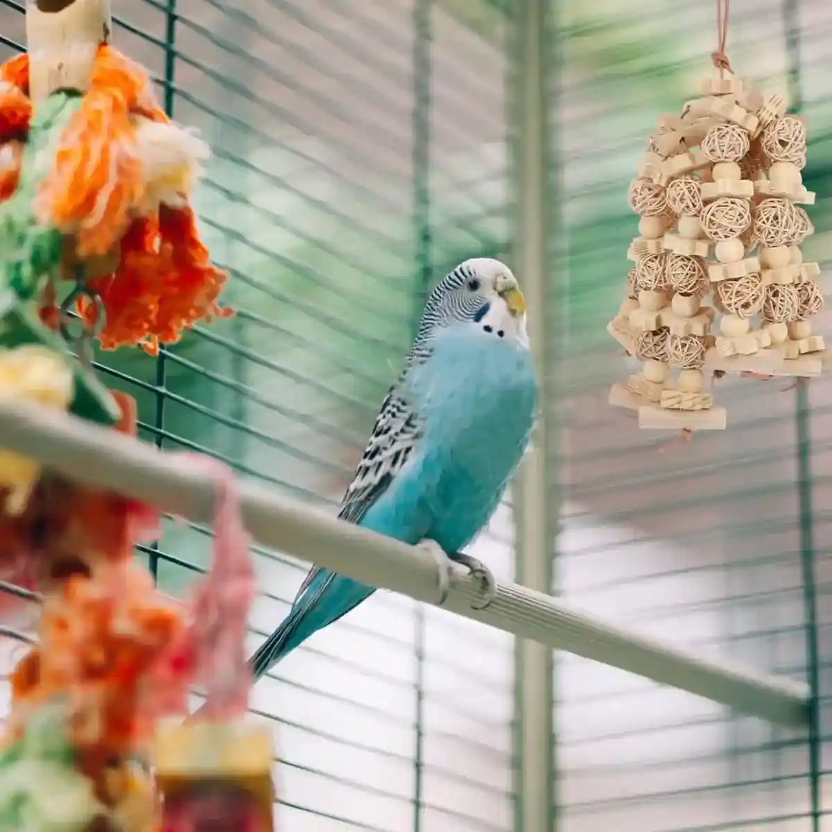 Natural Wooden Cage Accessory Bird Chew Toy for Parrots & Budgies - Image 12