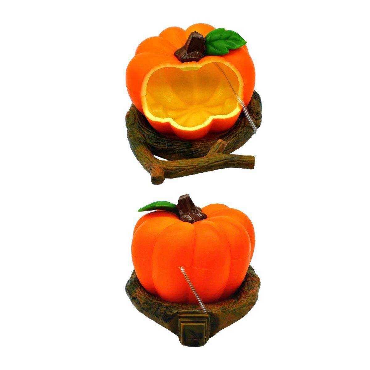 Bird Feeding Bowl Parrot Water Feeder Food Feeding Container - Image 5