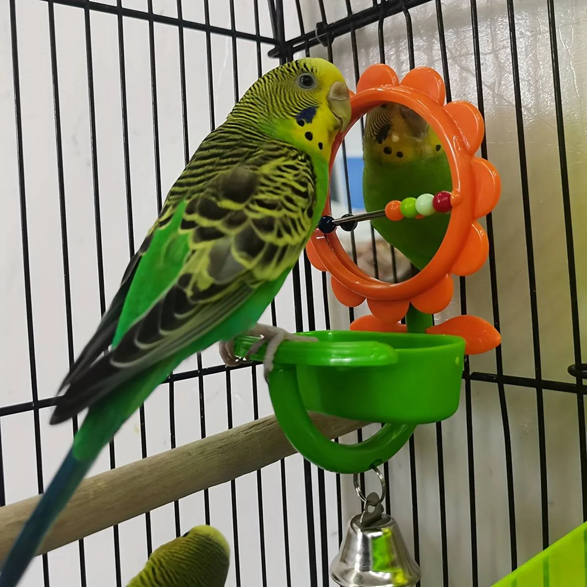 Bird Mirror Toy With Bell And Feeder Cup - Image 10