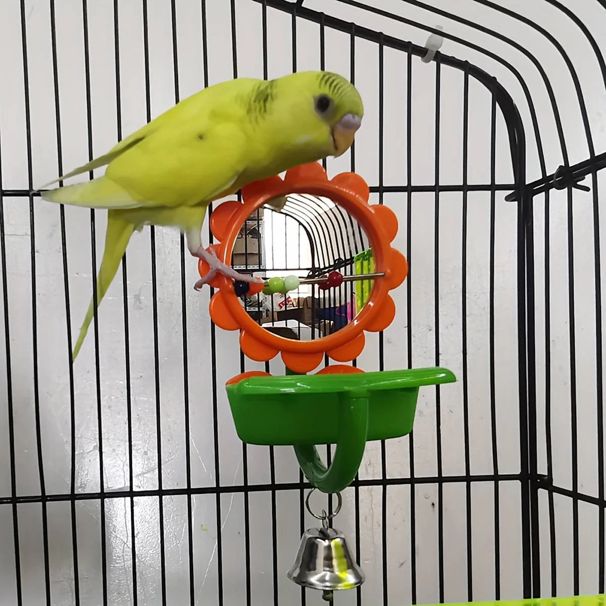 Bird Mirror Toy With Bell And Feeder Cup - Image 9