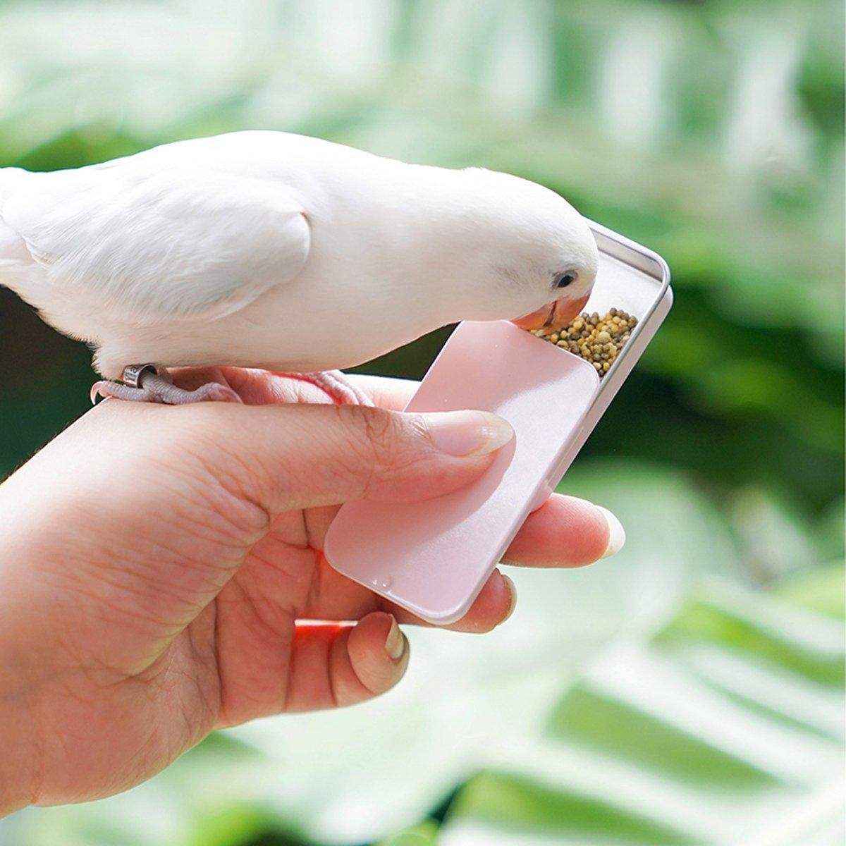 Bird Training Food Box - Portable Feeding Solution for Parrots - Image 11