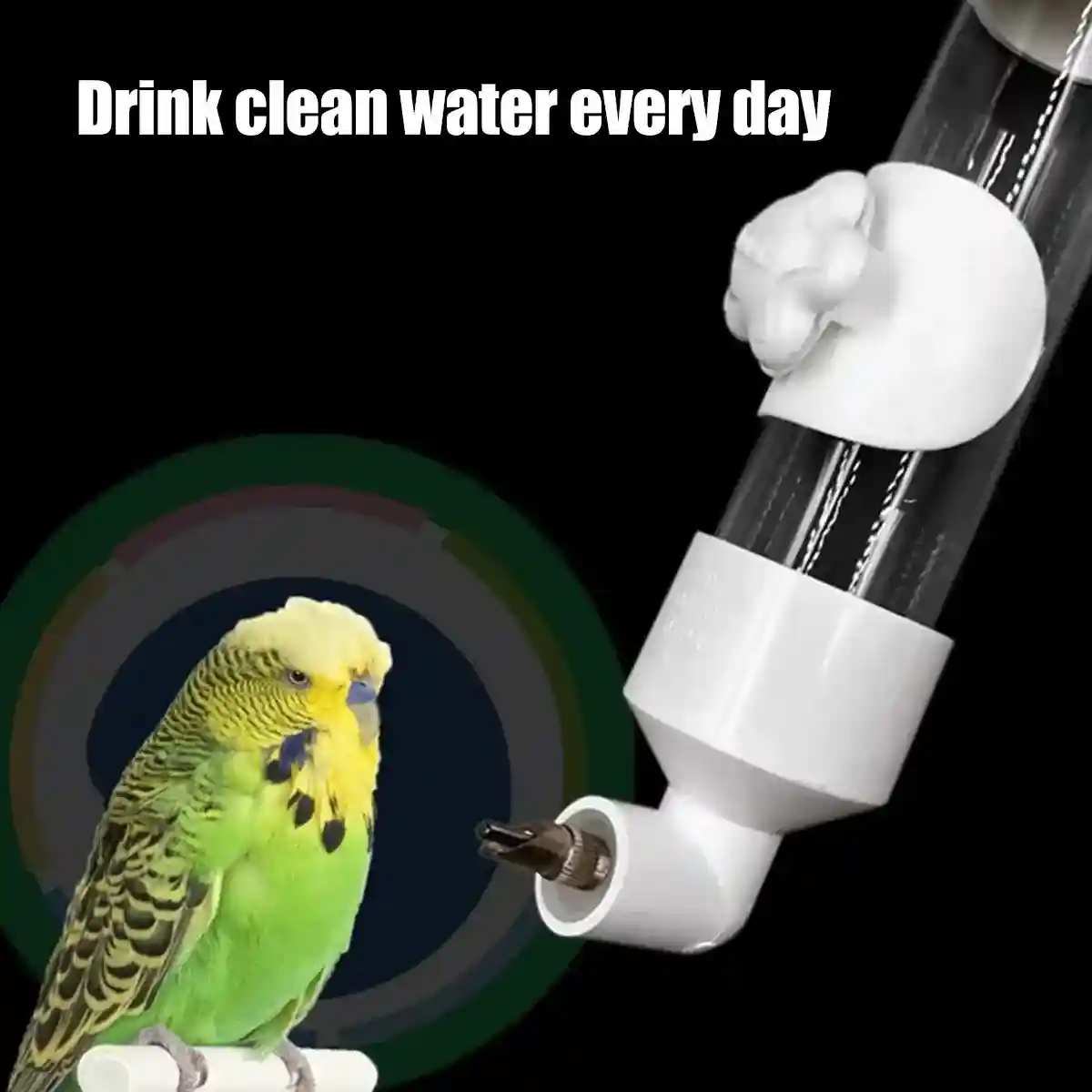 300ml Bird Water Dispenser with Needle Outlet - Image 7