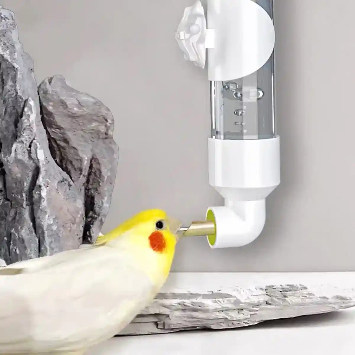 300ml Bird Water Dispenser with Needle Outlet - Image 8