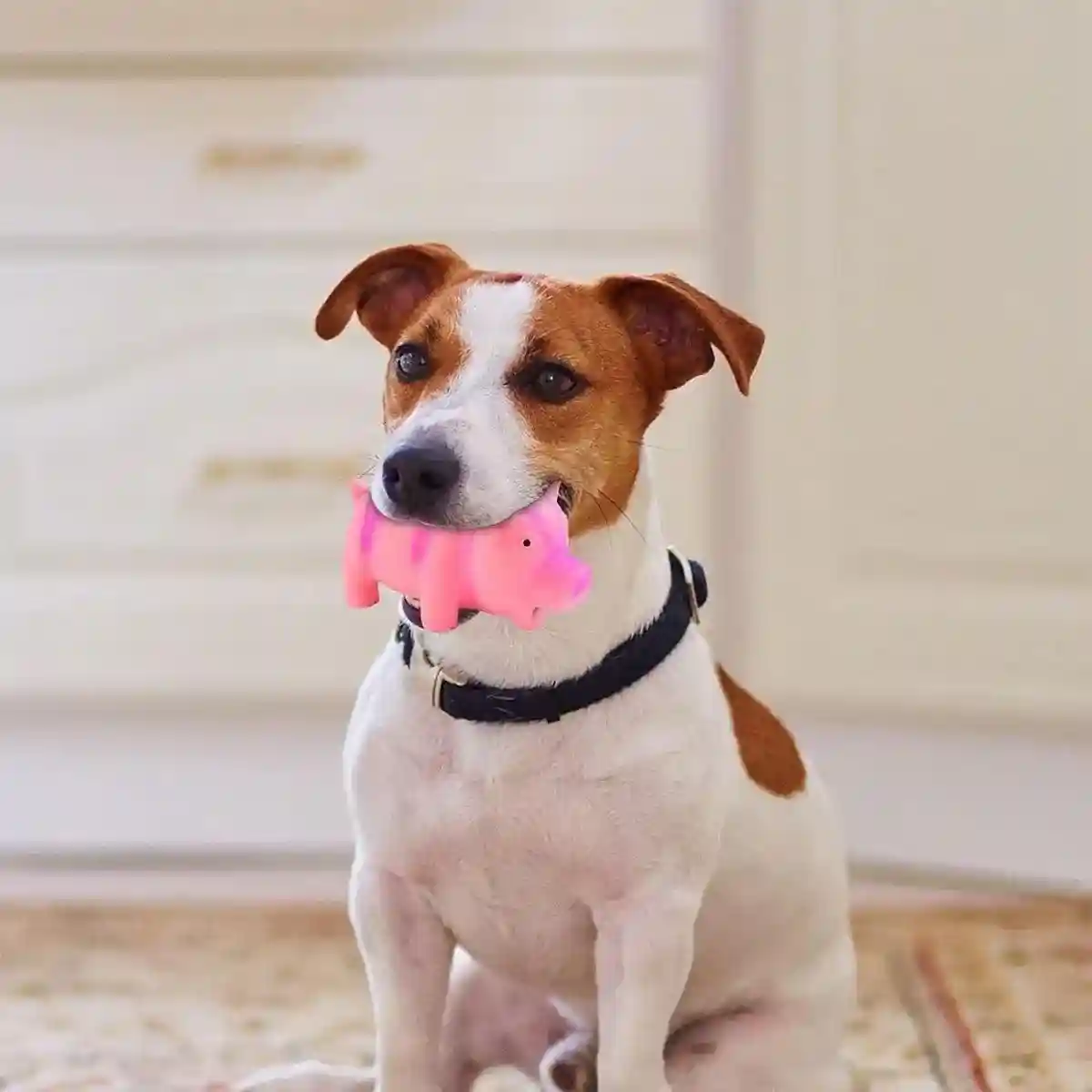 Latex Pig Dog Toy Sounding Pet Chew Toy for Teething Puppies - Image 6
