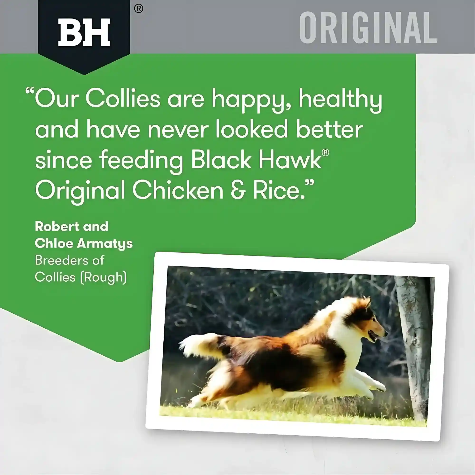 Black Hawk Dog Food Chicken & Rice 3kg/10kg Adult Premium Dry Dog Food - Image 7