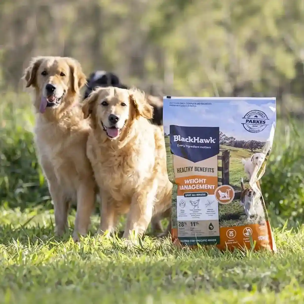 BLACK HAWK DOG HEALTHY BENEFITS WEIGHT 2/10KG - Image 14