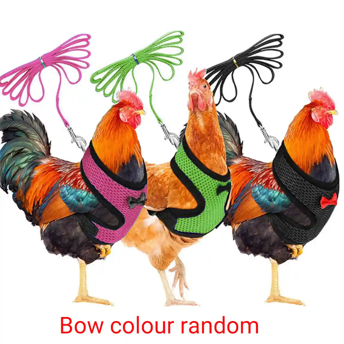 Adjustable Chicken Harness with Leash Breathable Mesh Vest for Poultry - Image 7