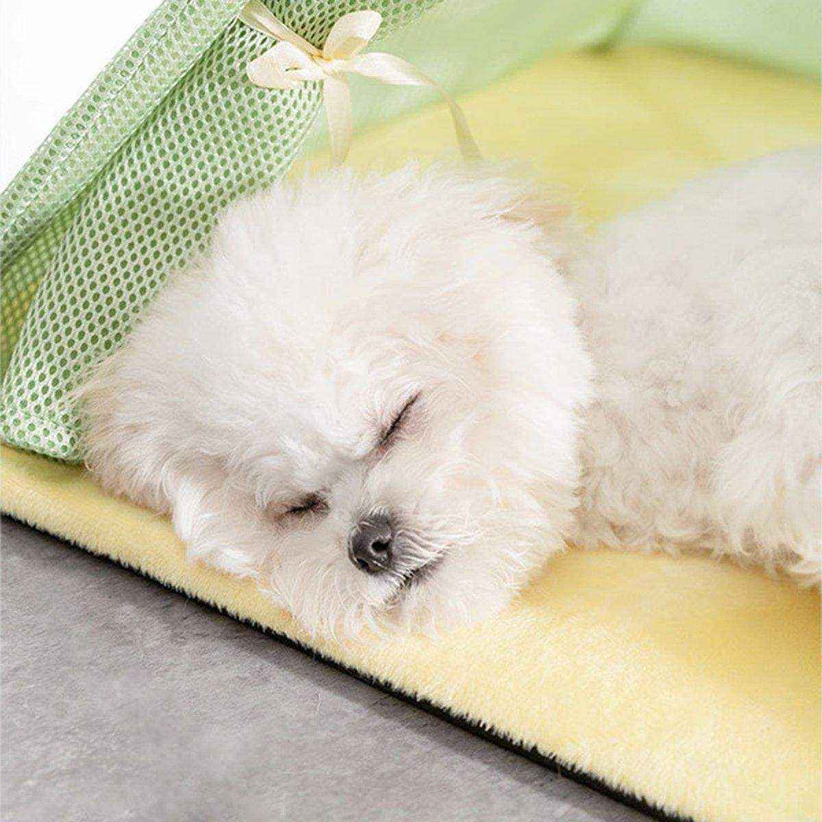 Breathable Dog Tent Kennel Small Pet Bed Cat House Pet Supplies - Image 12