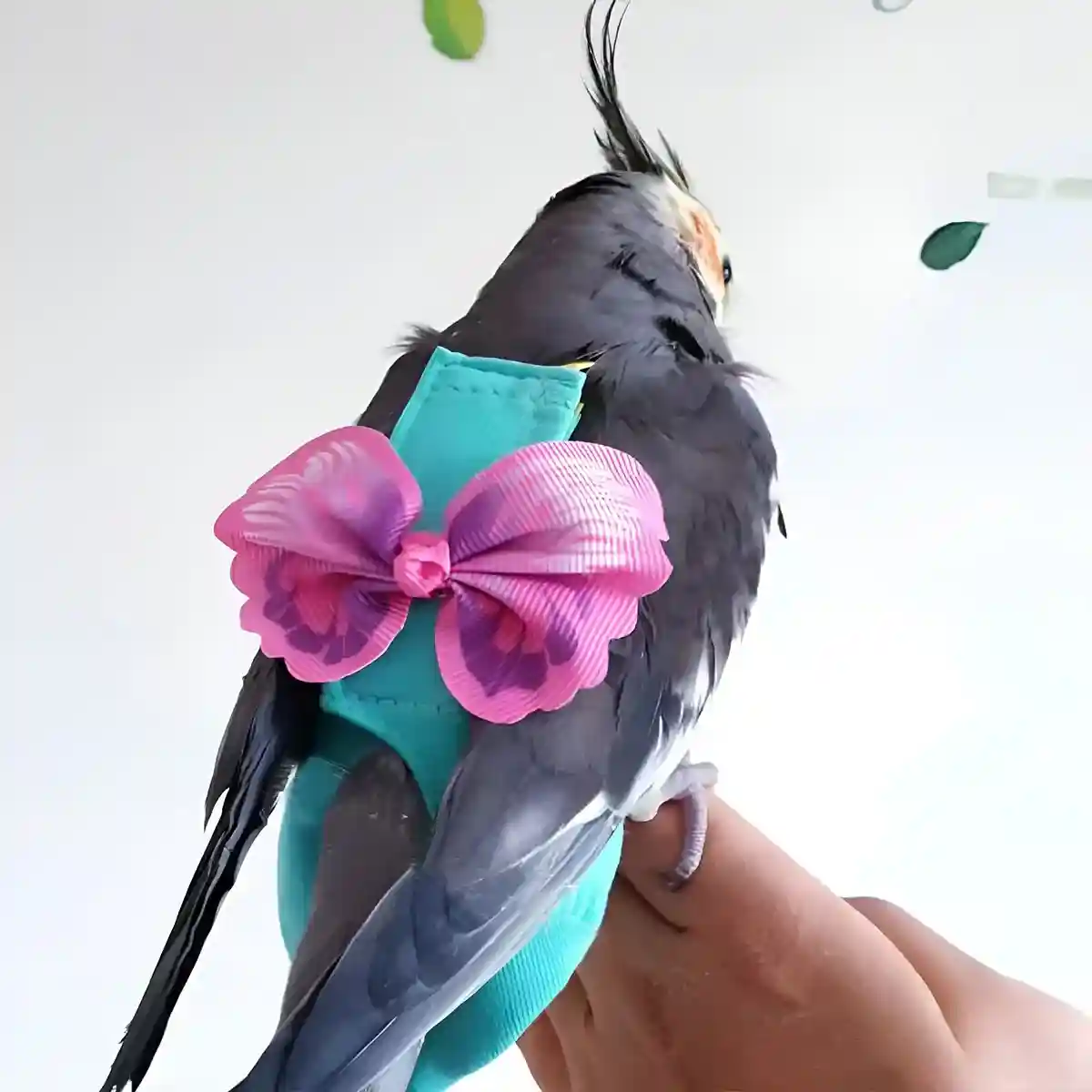 Cute Butterfly Bird Diaper Harness Flight Vest for Cockatiel & Parrot - Image 2